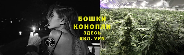 стафф Лабытнанги