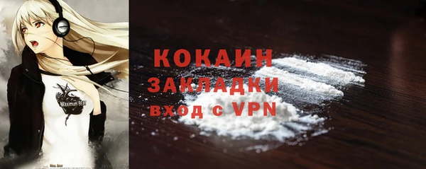 твердый Лагань