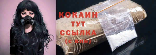 твердый Лагань