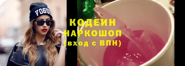 твердый Лагань