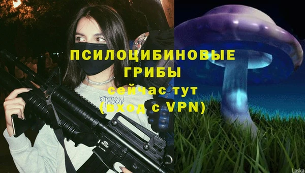 стафф Лабытнанги