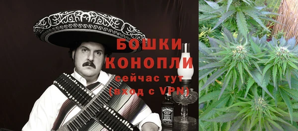 МДПВ Лиски