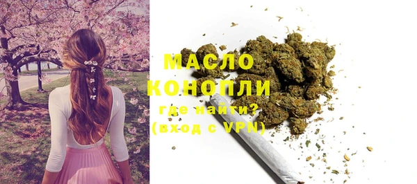 твердый Лагань