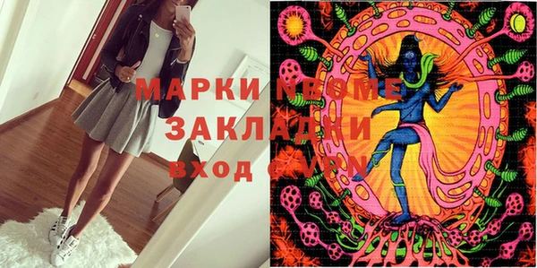ПСИЛОЦИБИНОВЫЕ ГРИБЫ Ладушкин