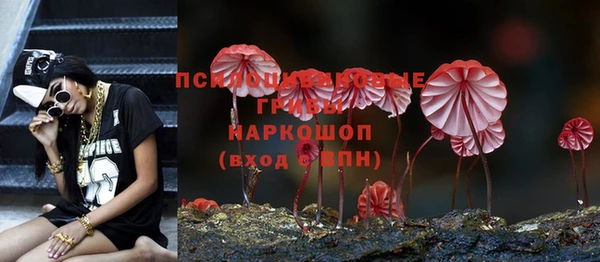 твердый Лагань