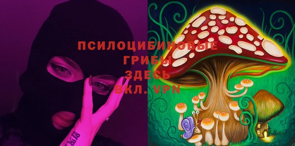 твердый Лагань