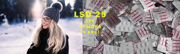 ПСИЛОЦИБИНОВЫЕ ГРИБЫ Ладушкин