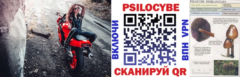 Купить закладки  Лебедянь  Псилоцибиновые грибы Psilocybe 